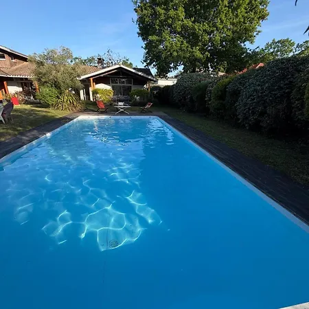 Hortensia Pool And Tranquility In Bassin *