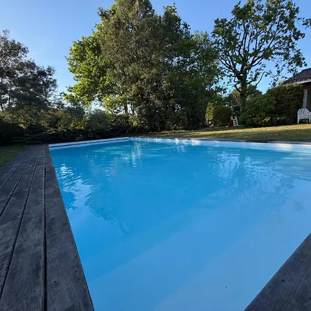 Hortensia Pool And Tranquility In Bassin
