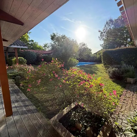 Hortensia Pool And Tranquility In Bassin Villa Andernos-les-Bains